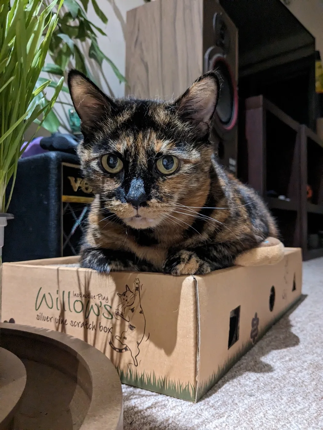 Gremlin