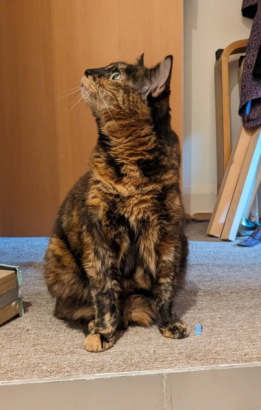 Gremlin