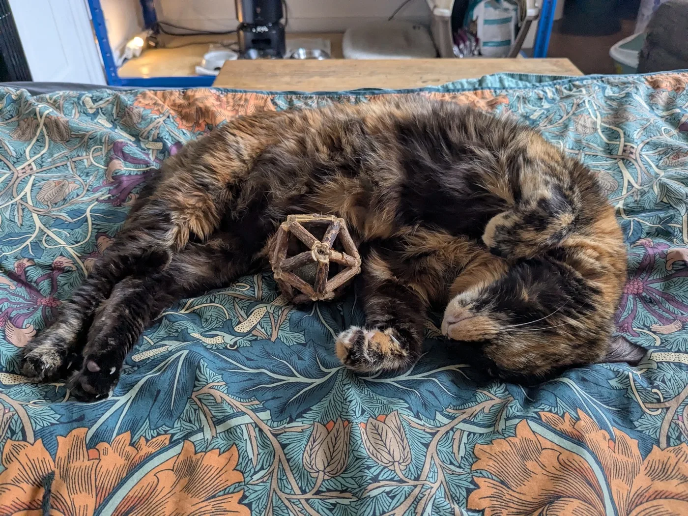 Gremlin