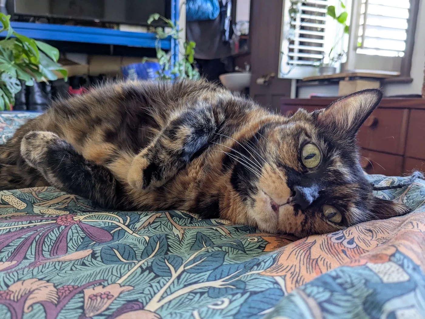 Gremlin
