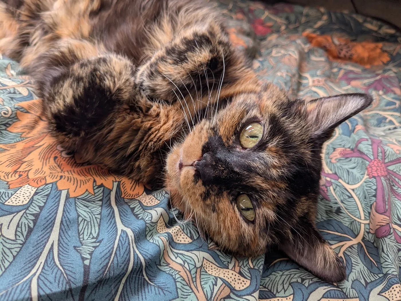 Gremlin